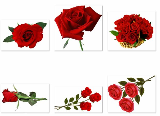 Картинки красных роз