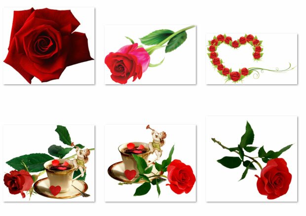 Розы и любовь