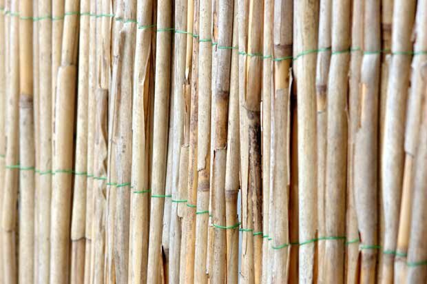 Связанный бамбук