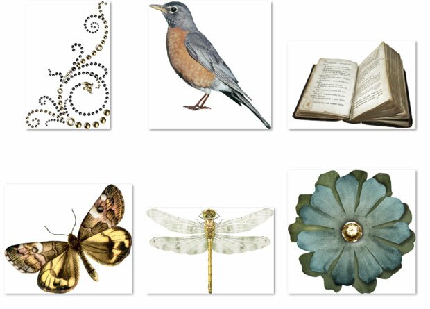 Старые книги, насекомые и птица